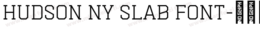 Hudson NY Slab font字体转换